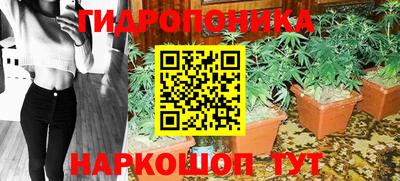 мдпв Татарск