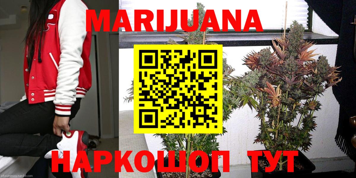 Бошки марихуана конопля Нефтеюганск